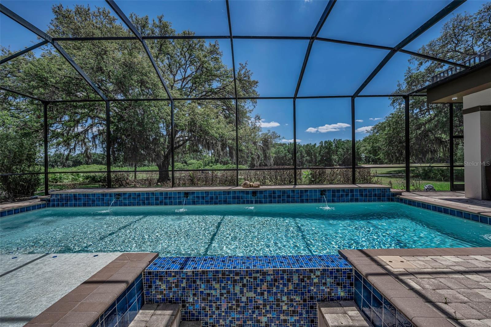 1015 BELLAMARE TRL, TRINITY, FL, 34655