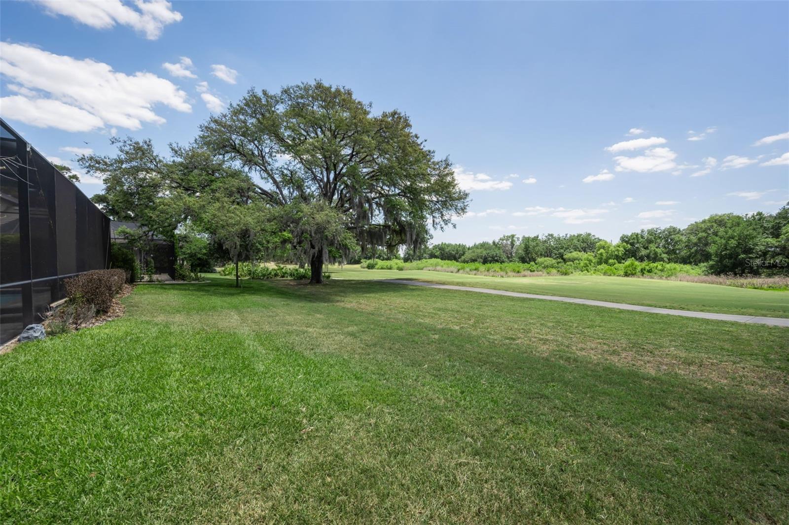 1015 BELLAMARE TRL, TRINITY, FL, 34655