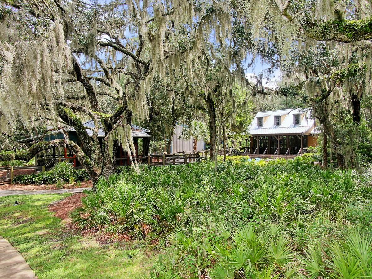 5918 WATERCOLOR DR, LITHIA, FL, 33547