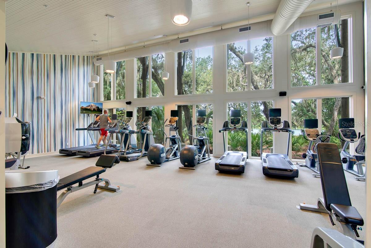 5918 WATERCOLOR DR, LITHIA, FL, 33547