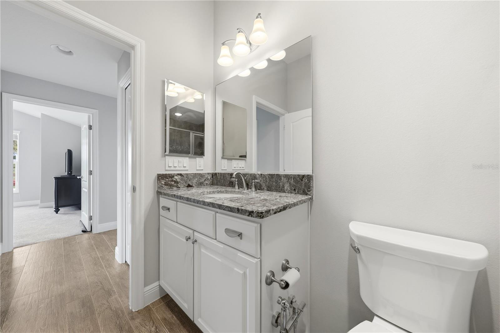 1166 BLOUNT AVE, THE VILLAGES, FL, 32163