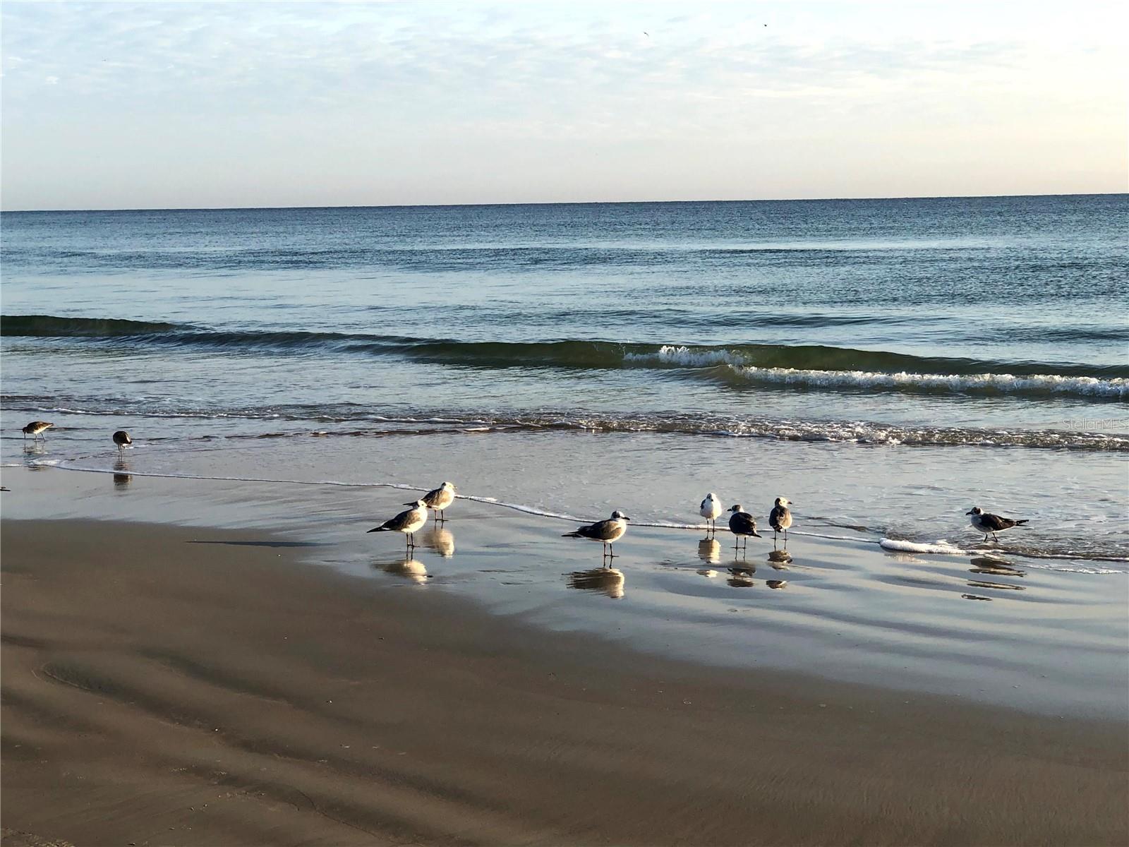 2900 N ATLANTIC AVE #1501, DAYTONA BEACH, FL, 32118