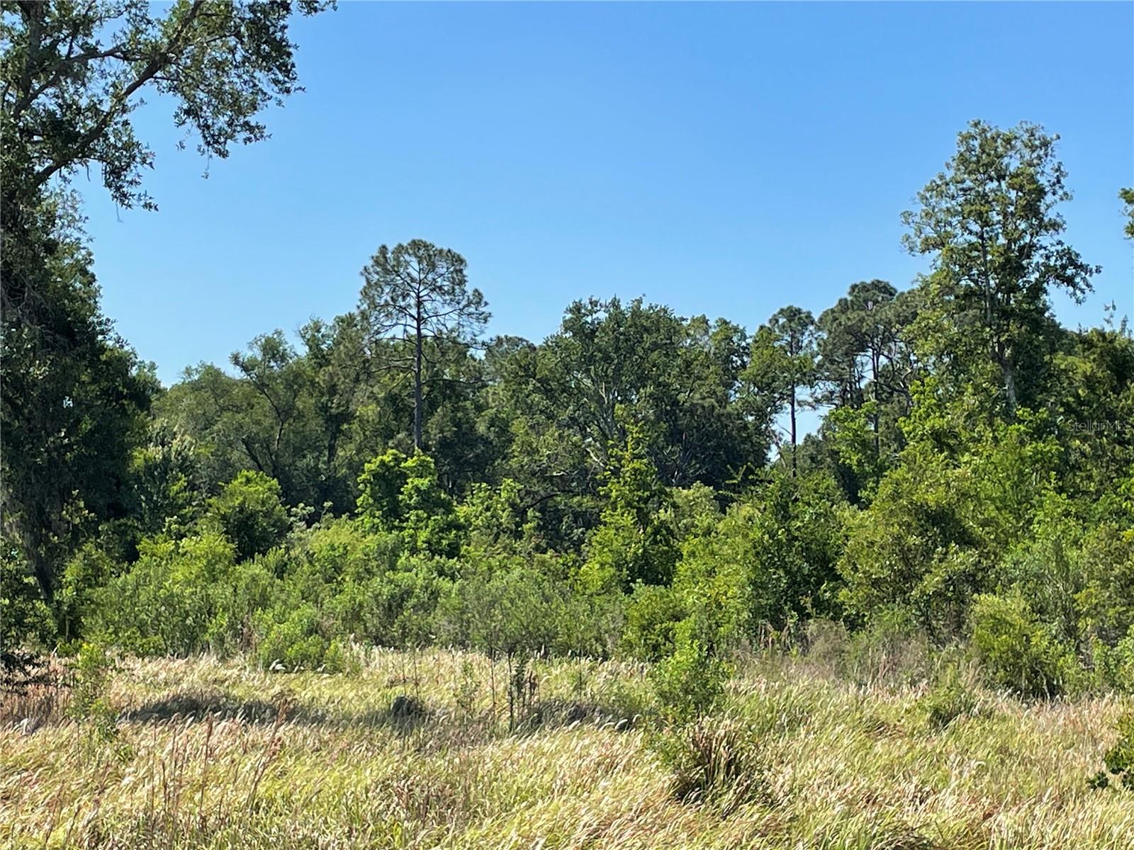 AVONWOOD, TAMPA, FL, 33625