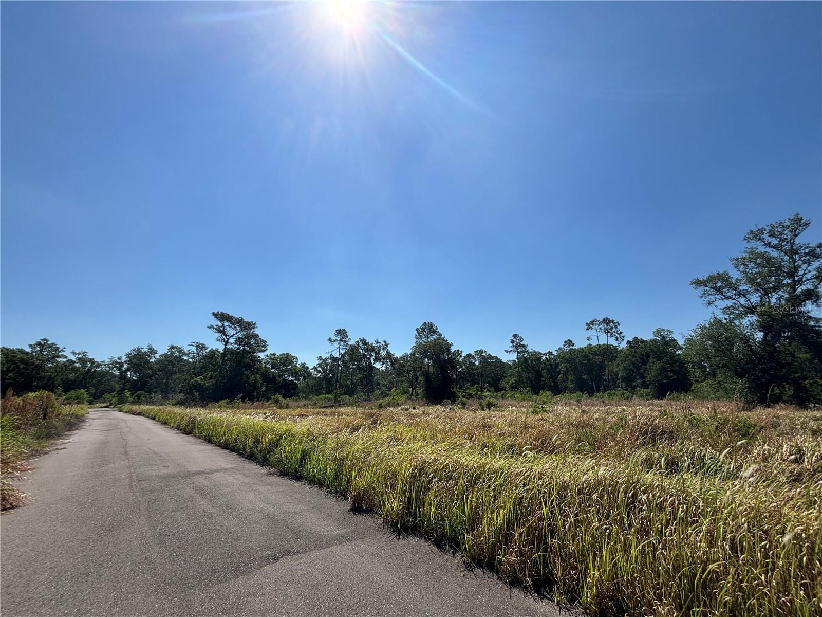 AVONWOOD, TAMPA, FL, 33625