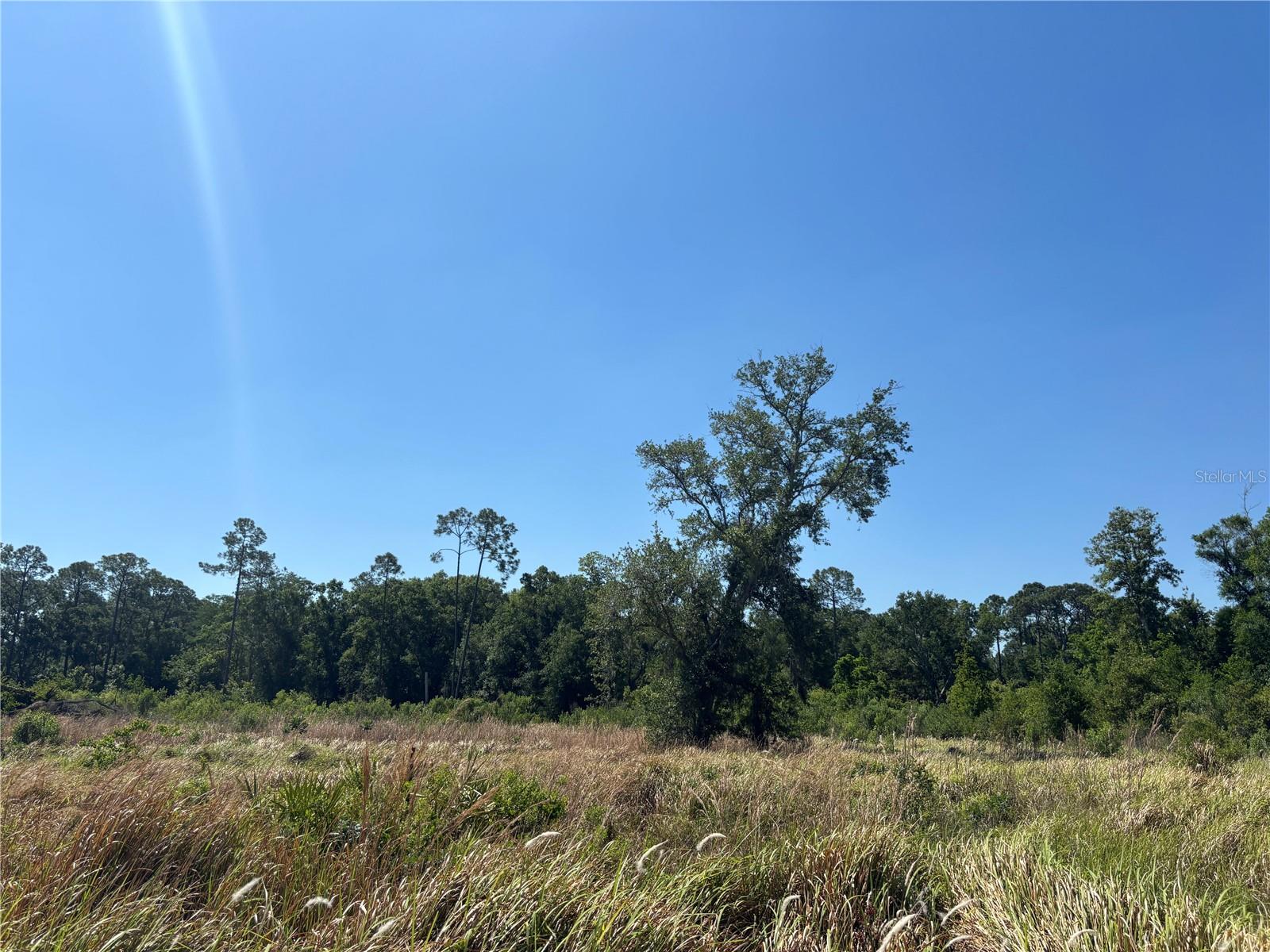 AVONWOOD, TAMPA, FL, 33625