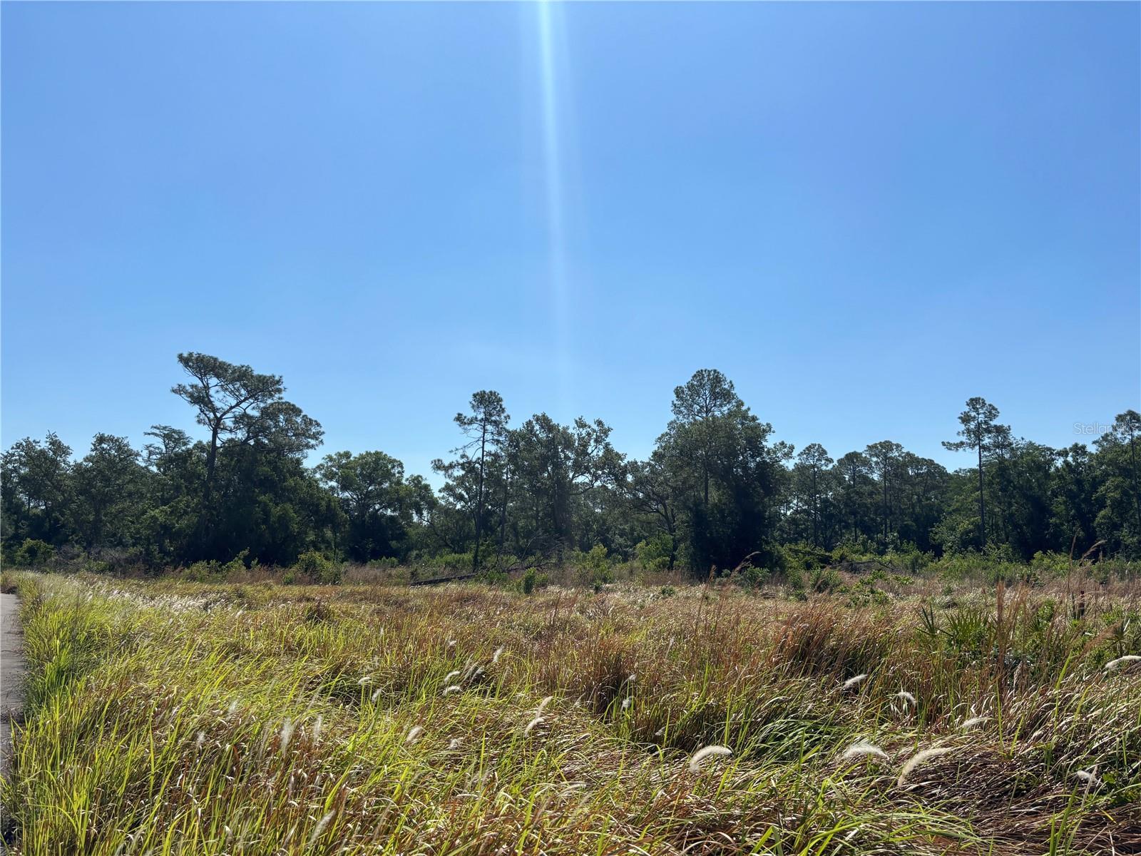 AVONWOOD, TAMPA, FL, 33625