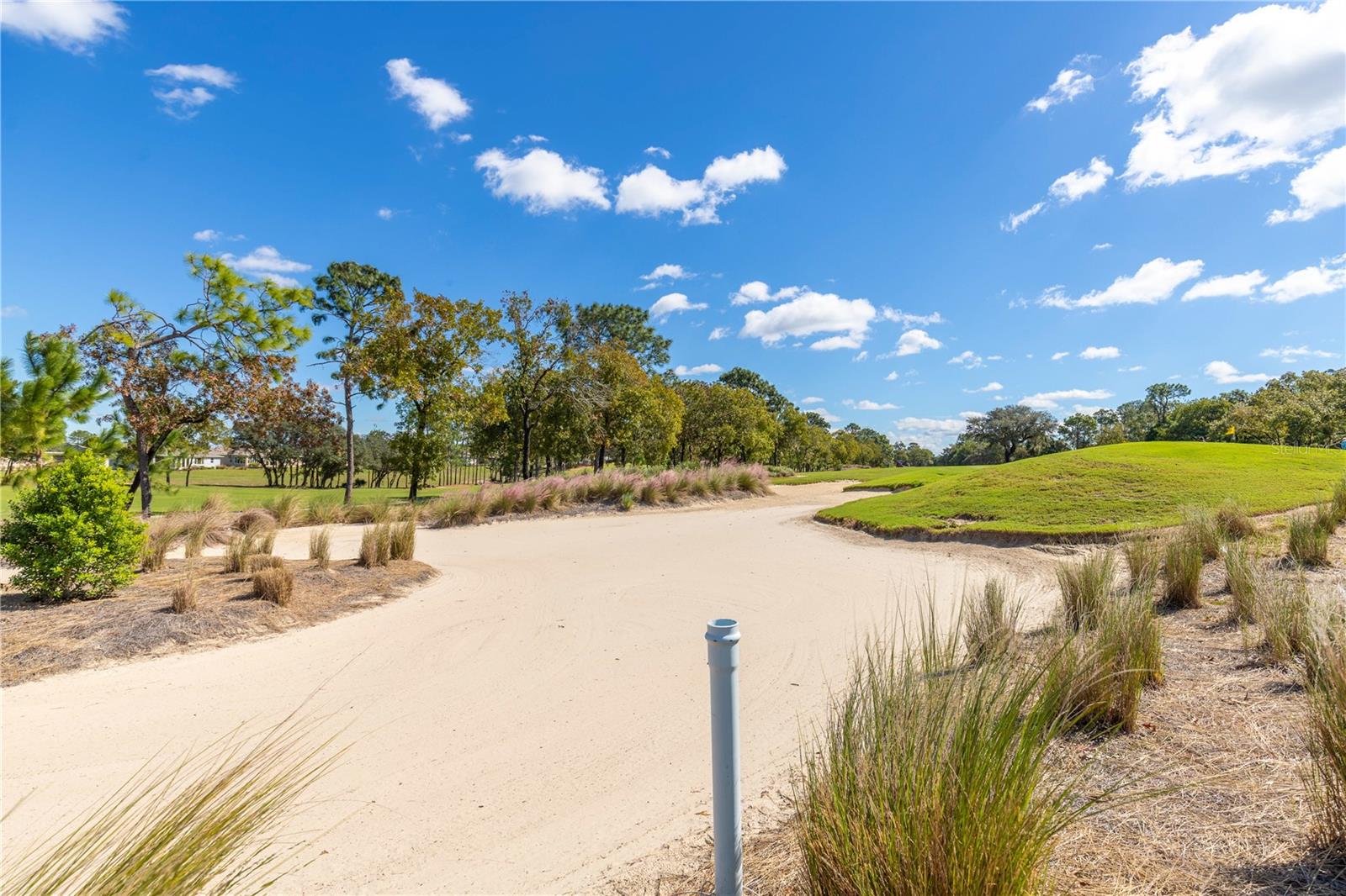 9460 SW 86TH PL, OCALA, FL, 34481