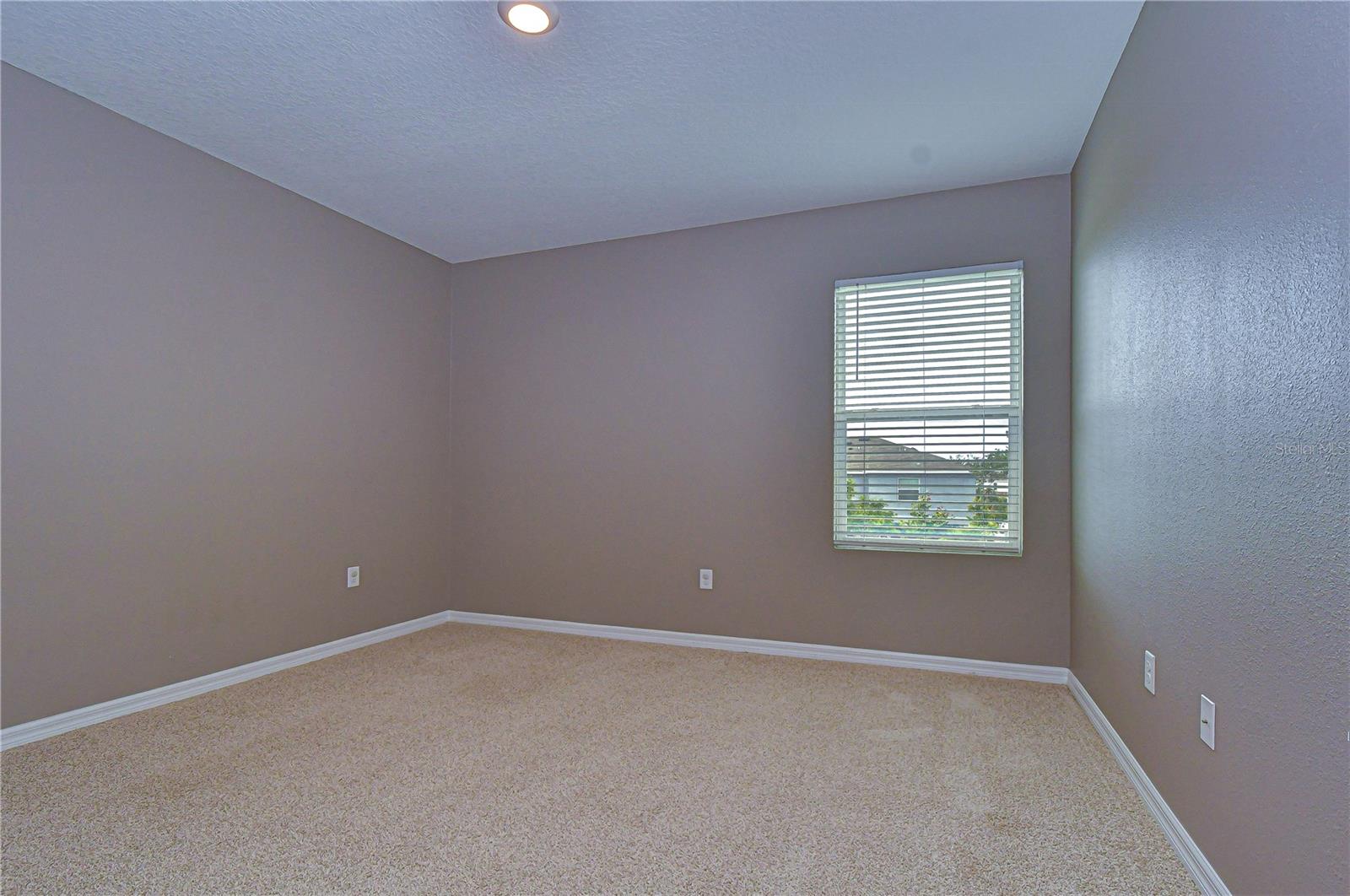 16607 GOOSE RIBBON PL, WIMAUMA, FL, 33598