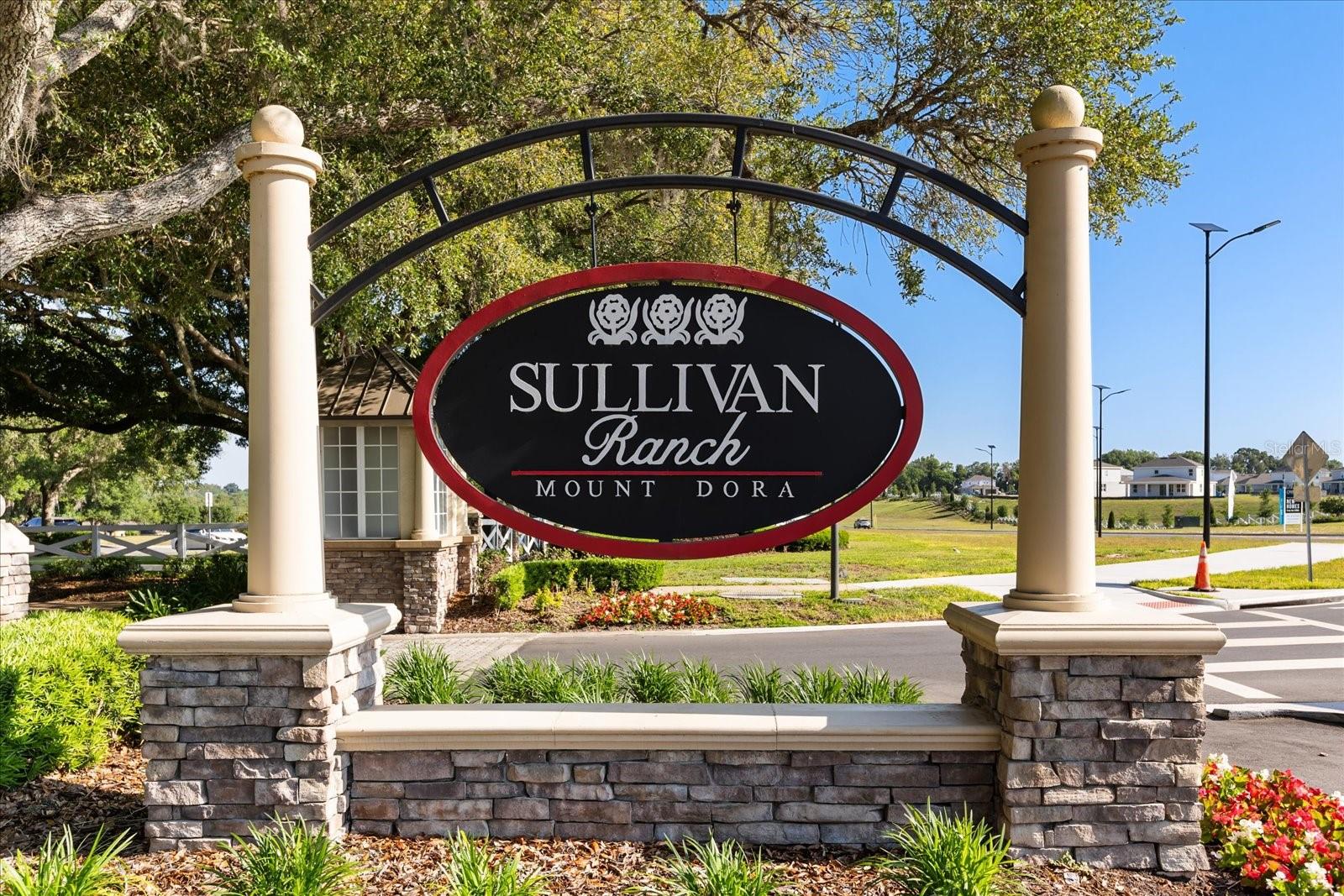 22024 BELGIAN CT, MOUNT DORA, FL, 32757