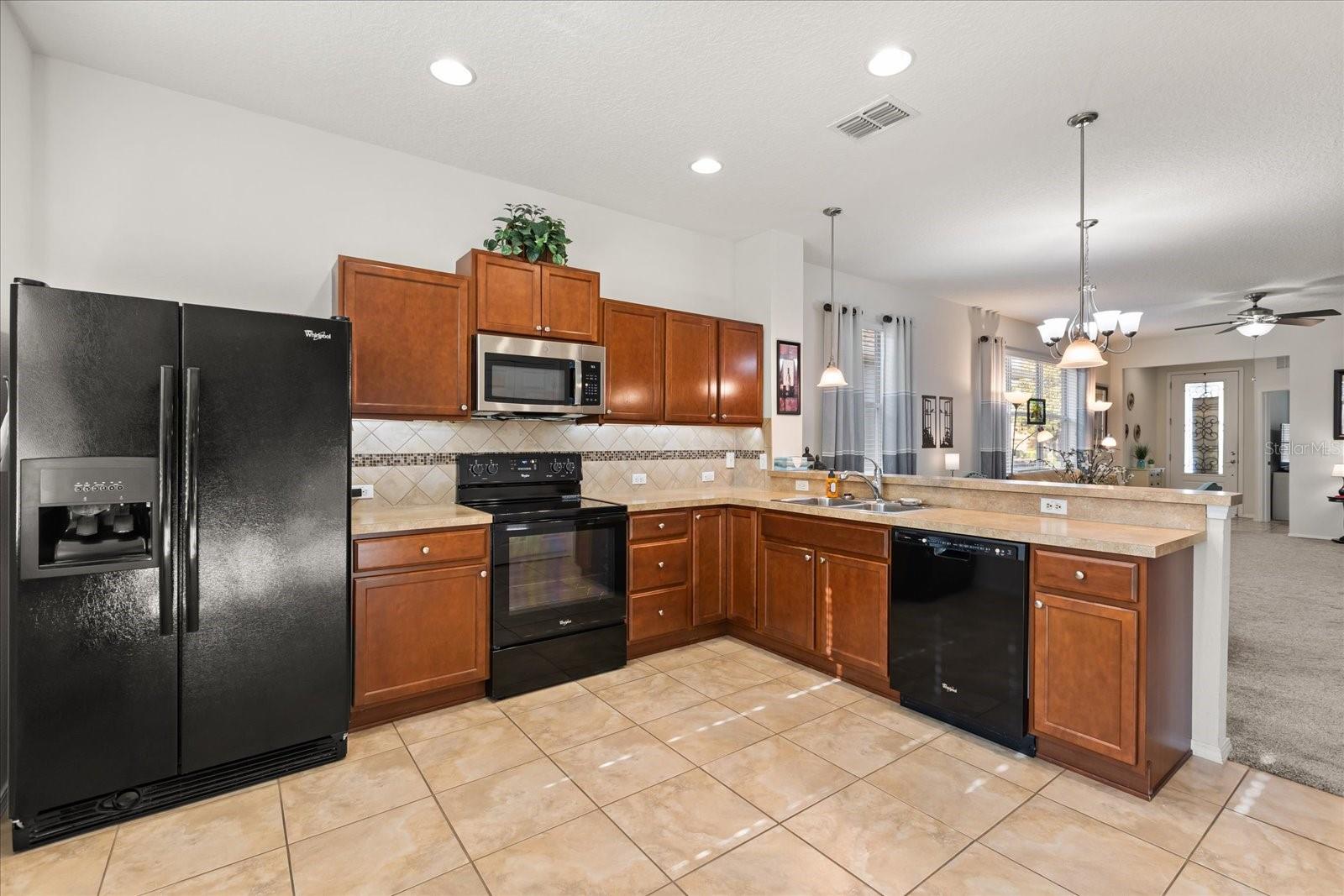 22024 BELGIAN CT, MOUNT DORA, FL, 32757