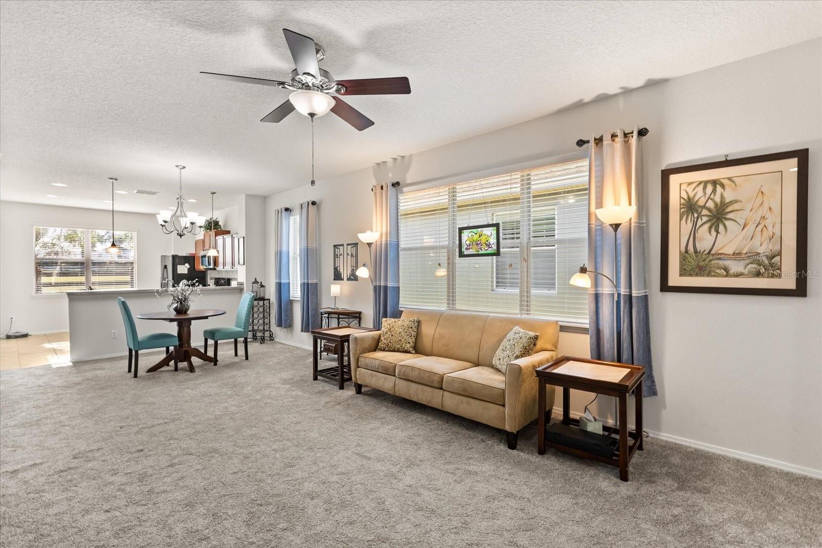 22024 BELGIAN CT, MOUNT DORA, FL, 32757