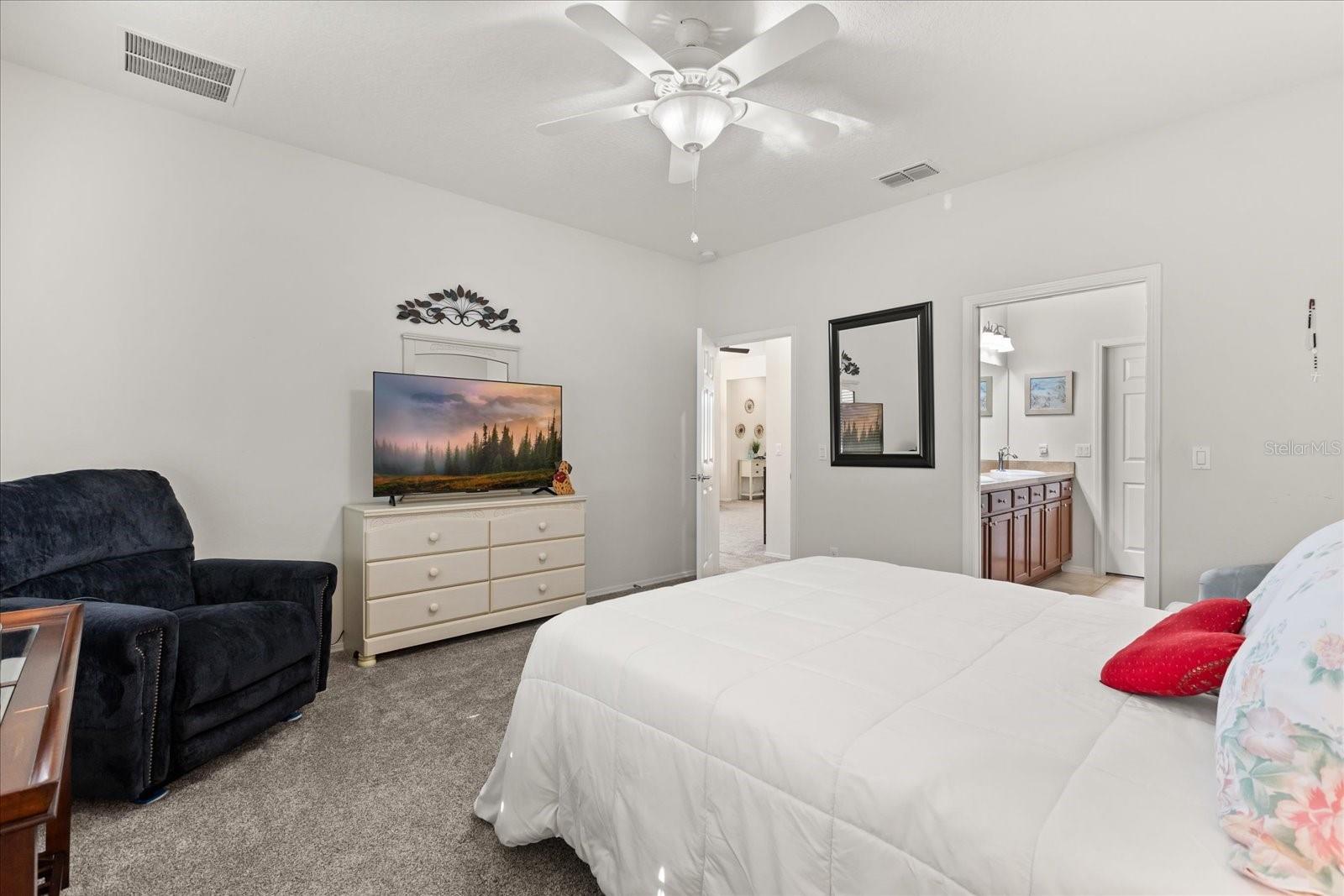 22024 BELGIAN CT, MOUNT DORA, FL, 32757