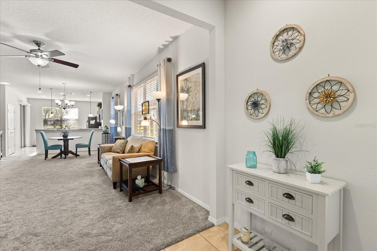 22024 BELGIAN CT, MOUNT DORA, FL, 32757