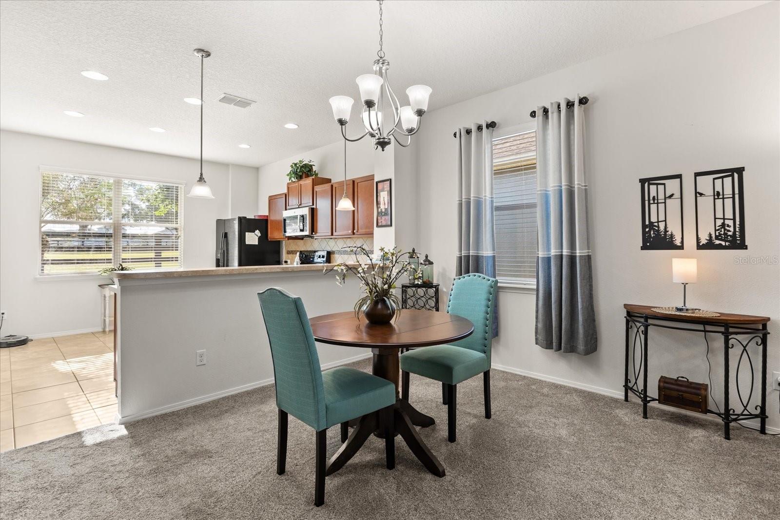 22024 BELGIAN CT, MOUNT DORA, FL, 32757