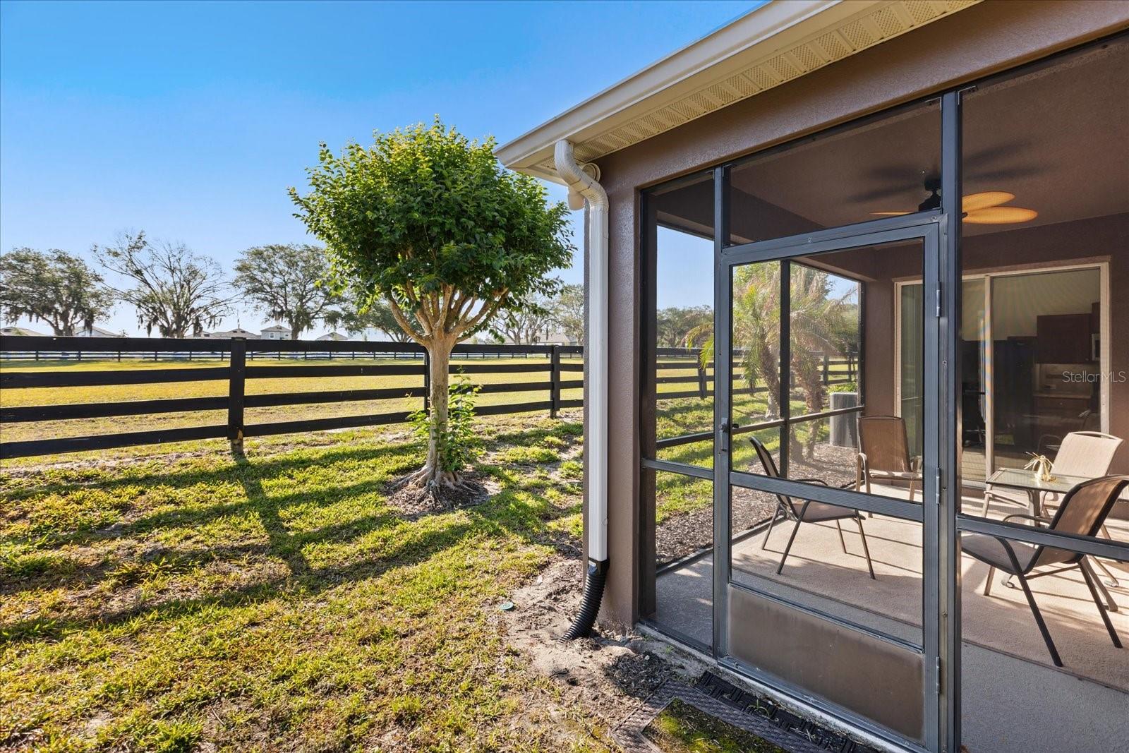 22024 BELGIAN CT, MOUNT DORA, FL, 32757