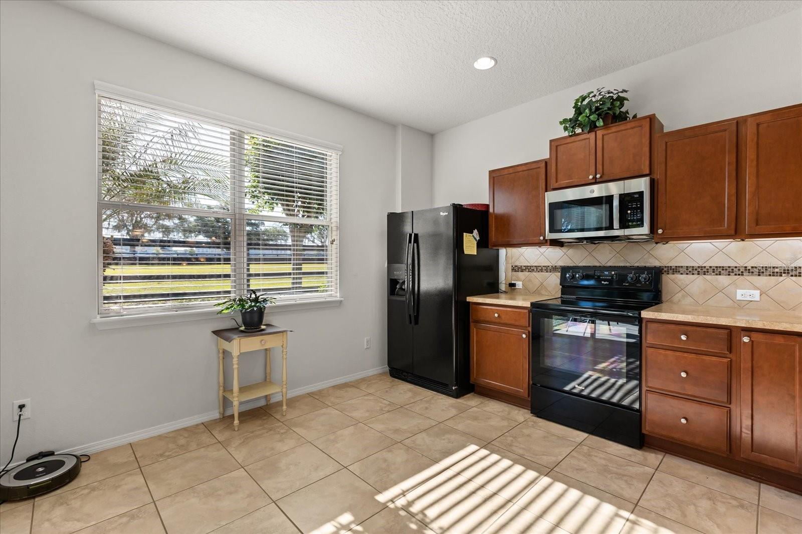 22024 BELGIAN CT, MOUNT DORA, FL, 32757