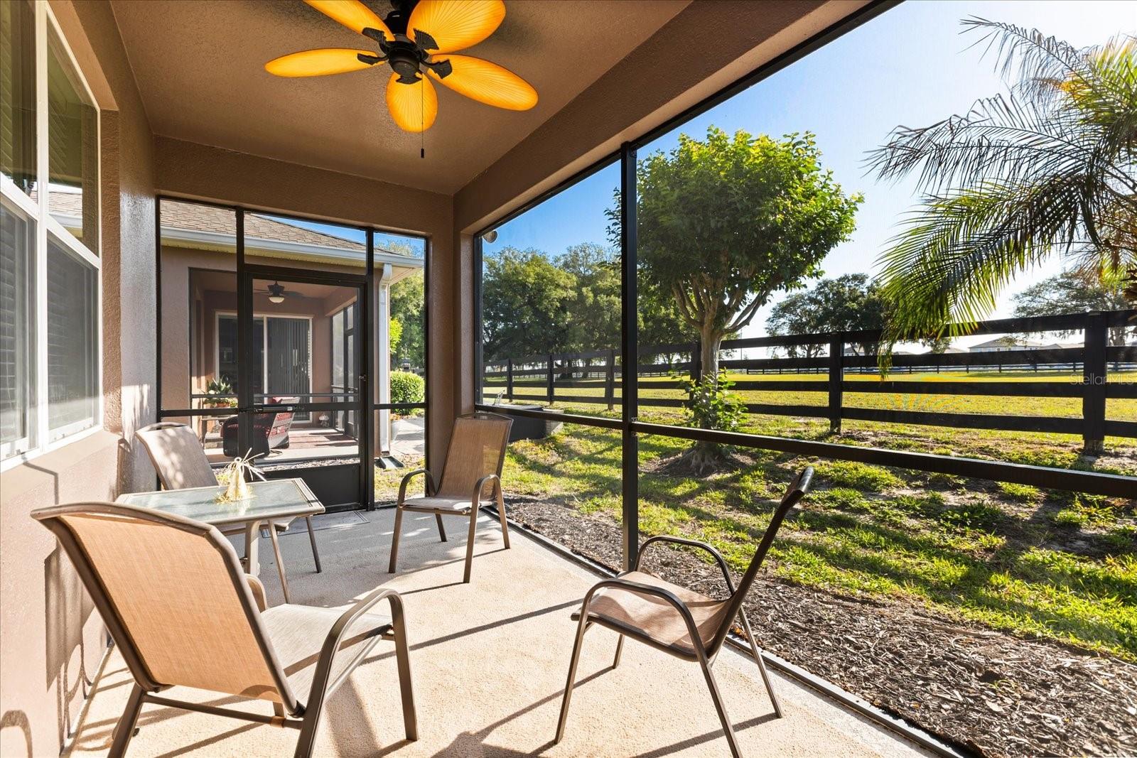 22024 BELGIAN CT, MOUNT DORA, FL, 32757