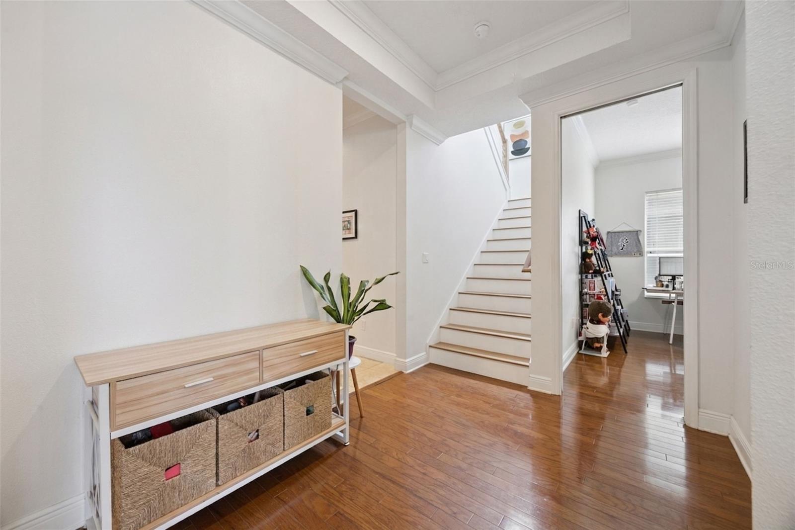 5427 NAGAMI DR, WINDERMERE, FL, 34786