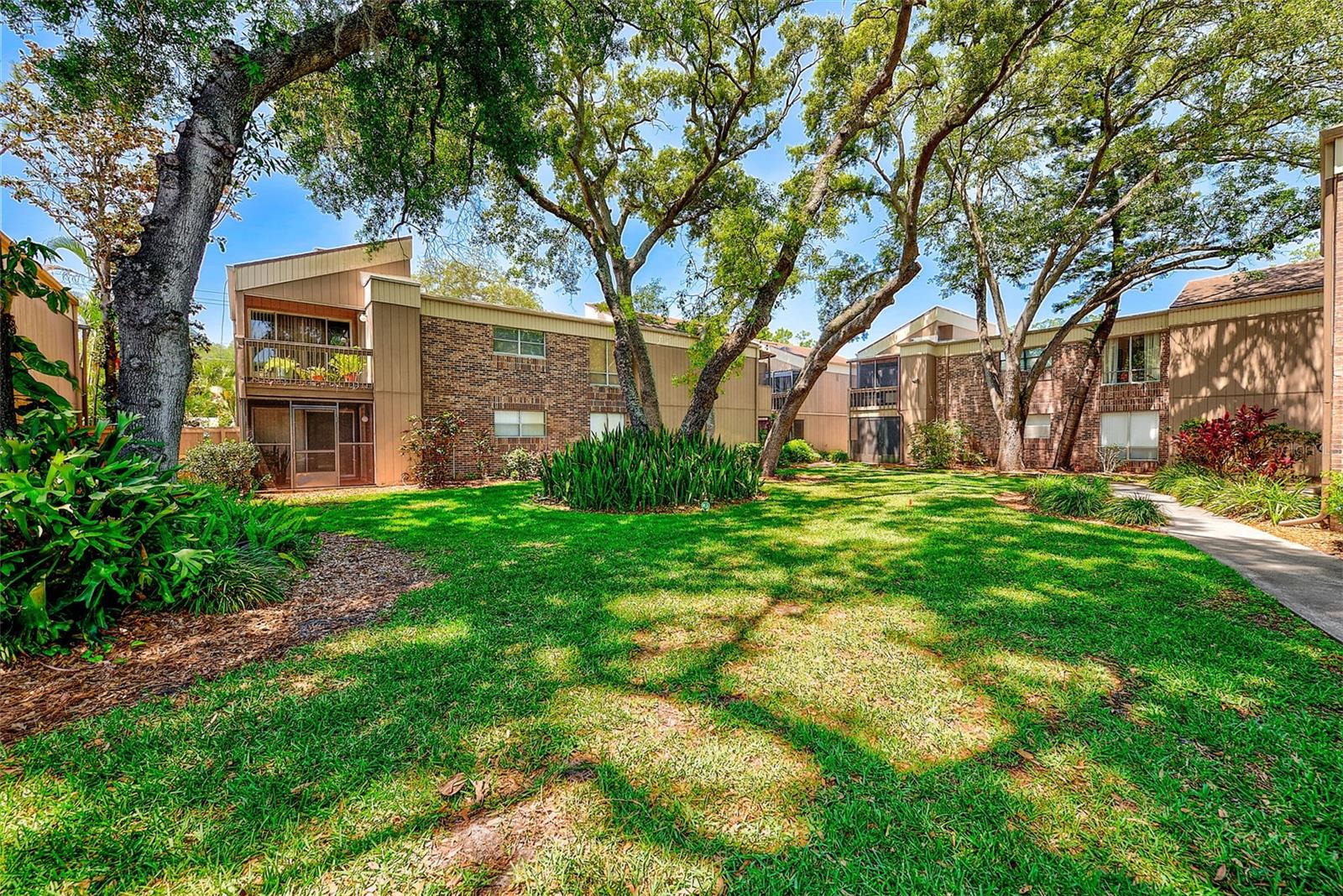 10453 CARROLLBROOK CIR #222, TAMPA, FL, 33618