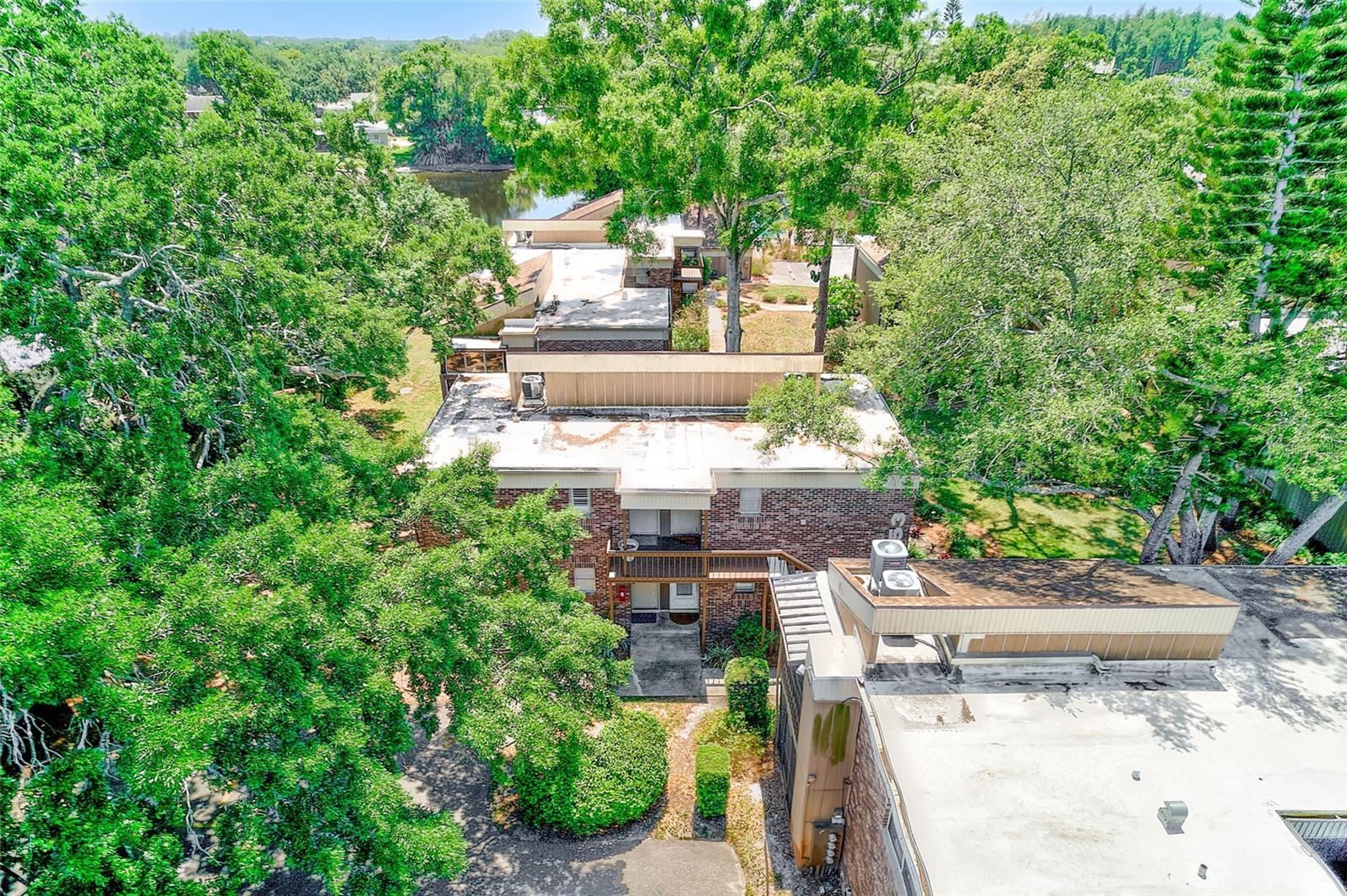 10453 CARROLLBROOK CIR #222, TAMPA, FL, 33618