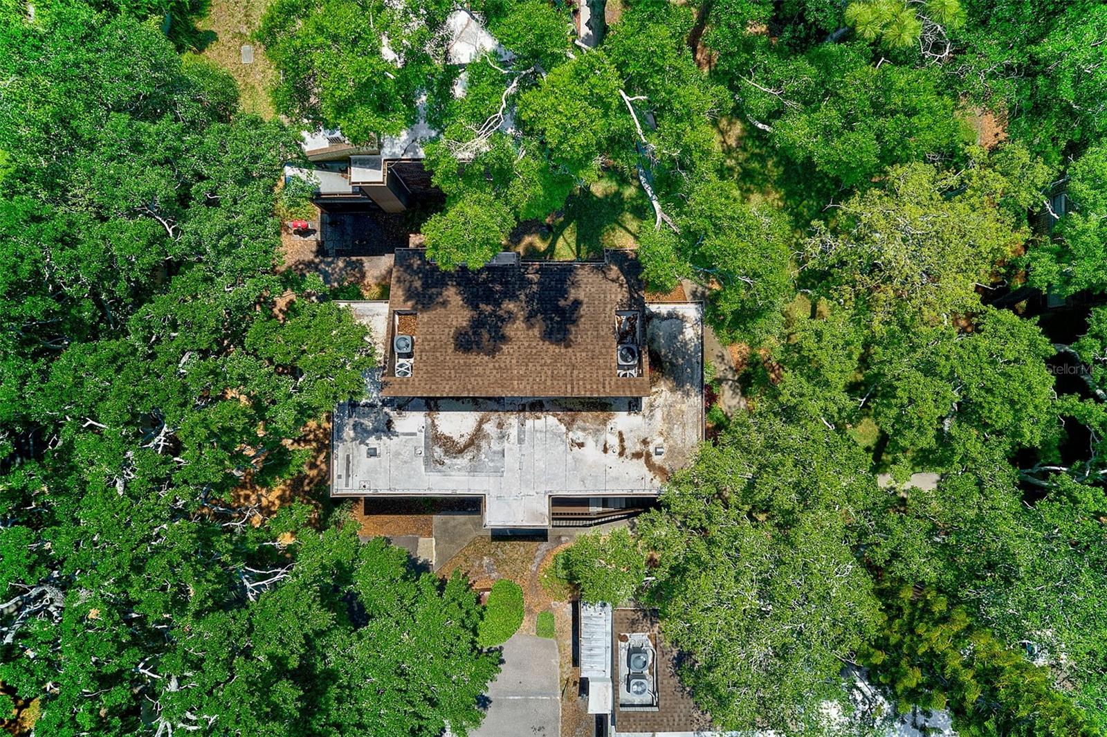 10453 CARROLLBROOK CIR #222, TAMPA, FL, 33618