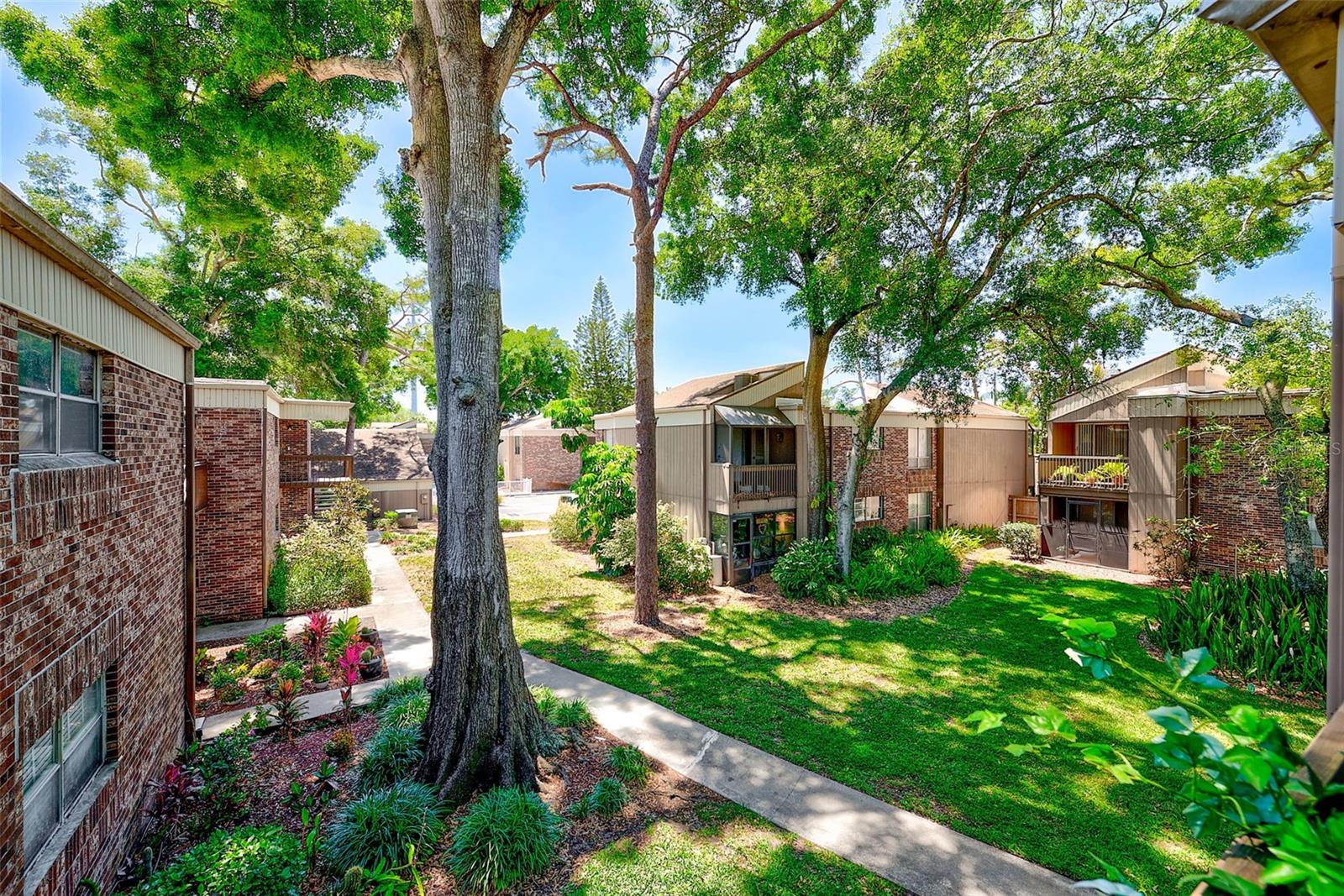 10453 CARROLLBROOK CIR #222, TAMPA, FL, 33618