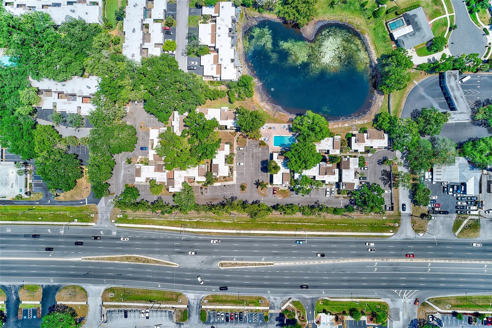 10453 CARROLLBROOK CIR #222, TAMPA, FL, 33618