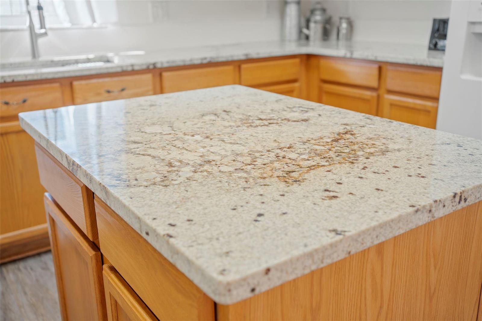 24618 STILLRIDGE COURT, LEESBURG, FL, 34748