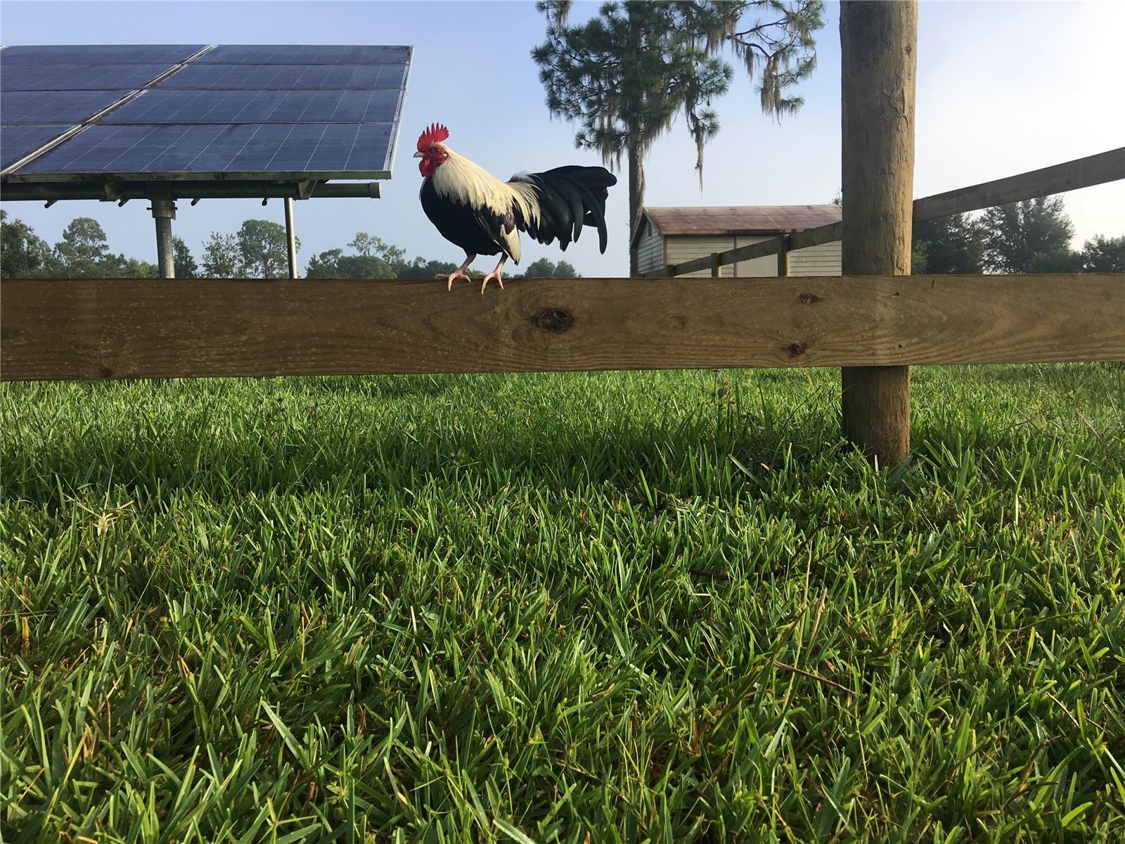 3046 N BOWDEN RD, AVON PARK, FL, 33825