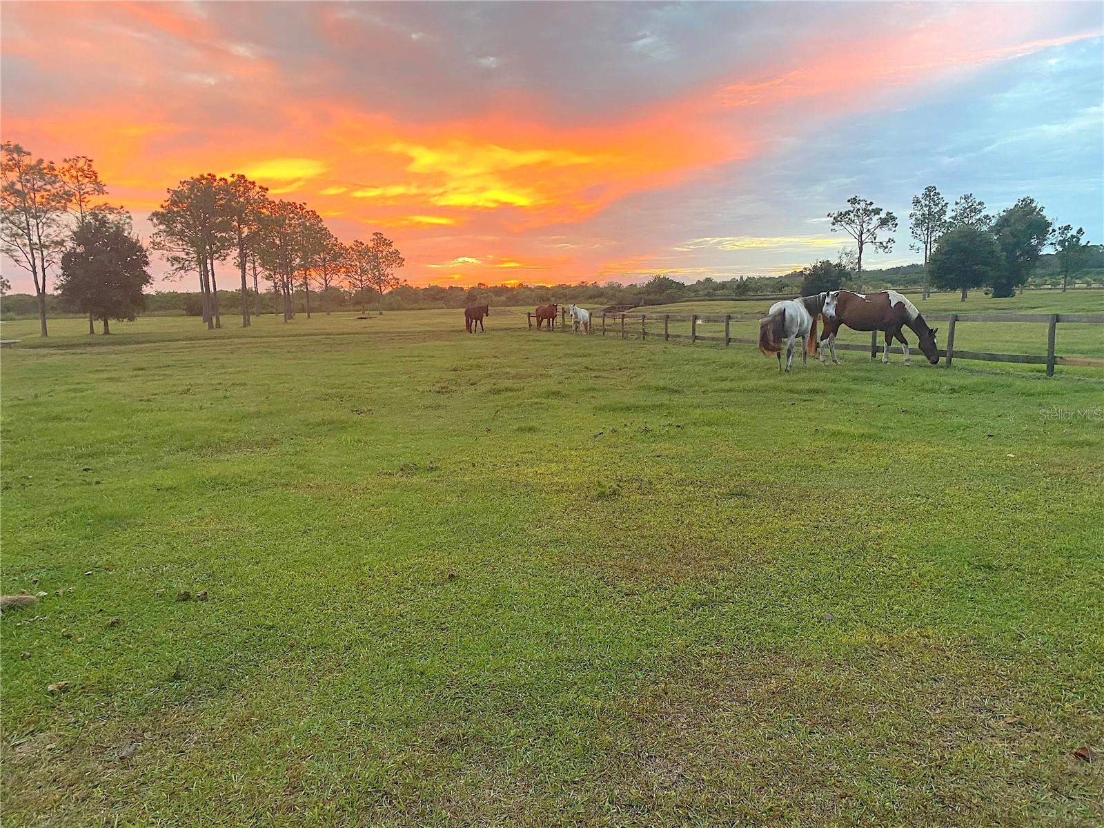 3046 N BOWDEN RD, AVON PARK, FL, 33825