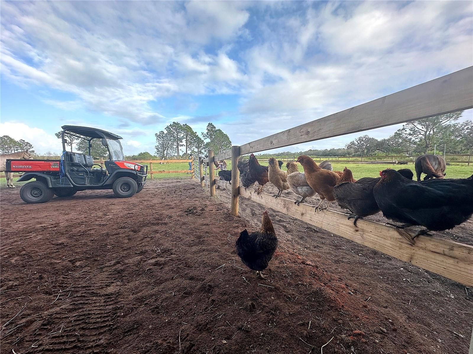 3046 N BOWDEN RD, AVON PARK, FL, 33825