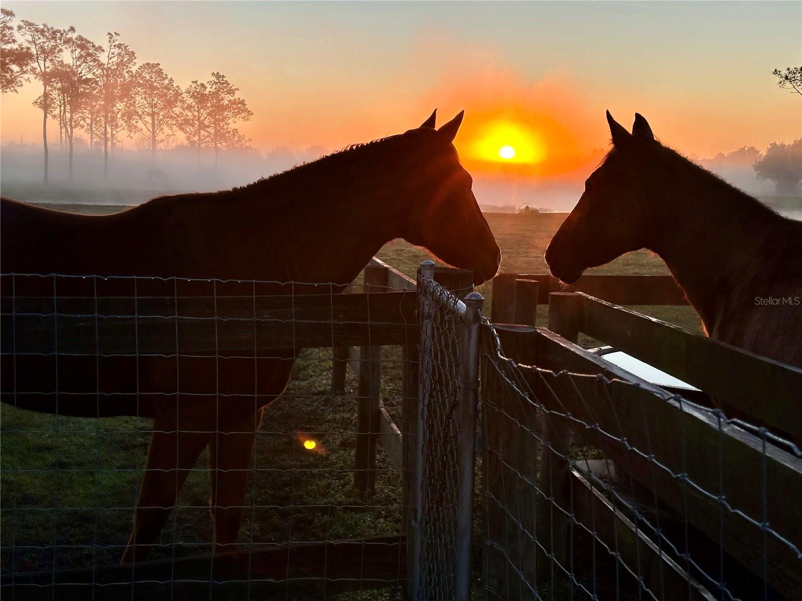 3046 N BOWDEN RD, AVON PARK, FL, 33825