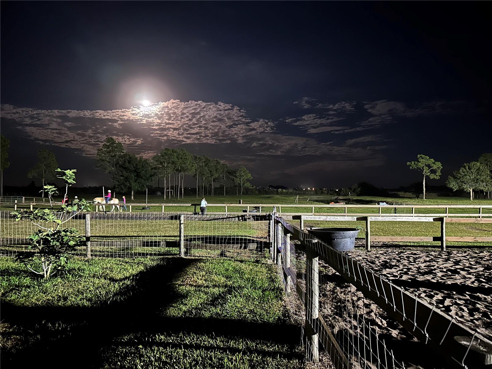 3046 N BOWDEN RD, AVON PARK, FL, 33825