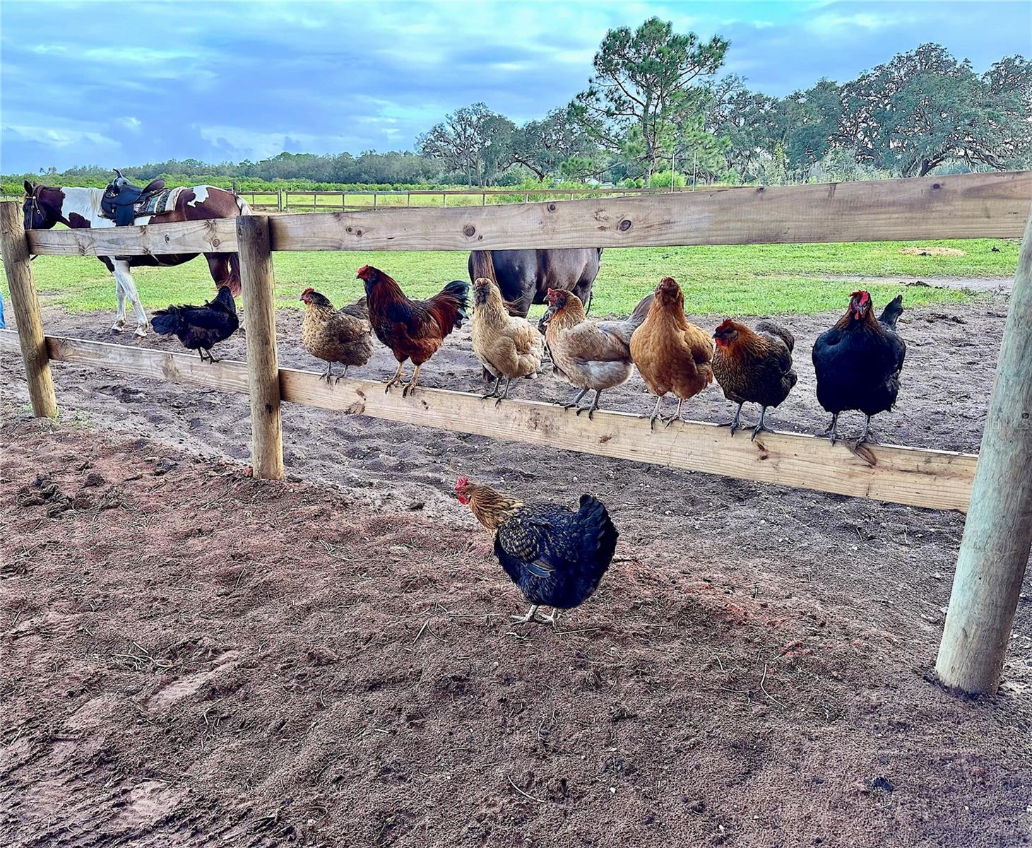 3046 N BOWDEN RD, AVON PARK, FL, 33825