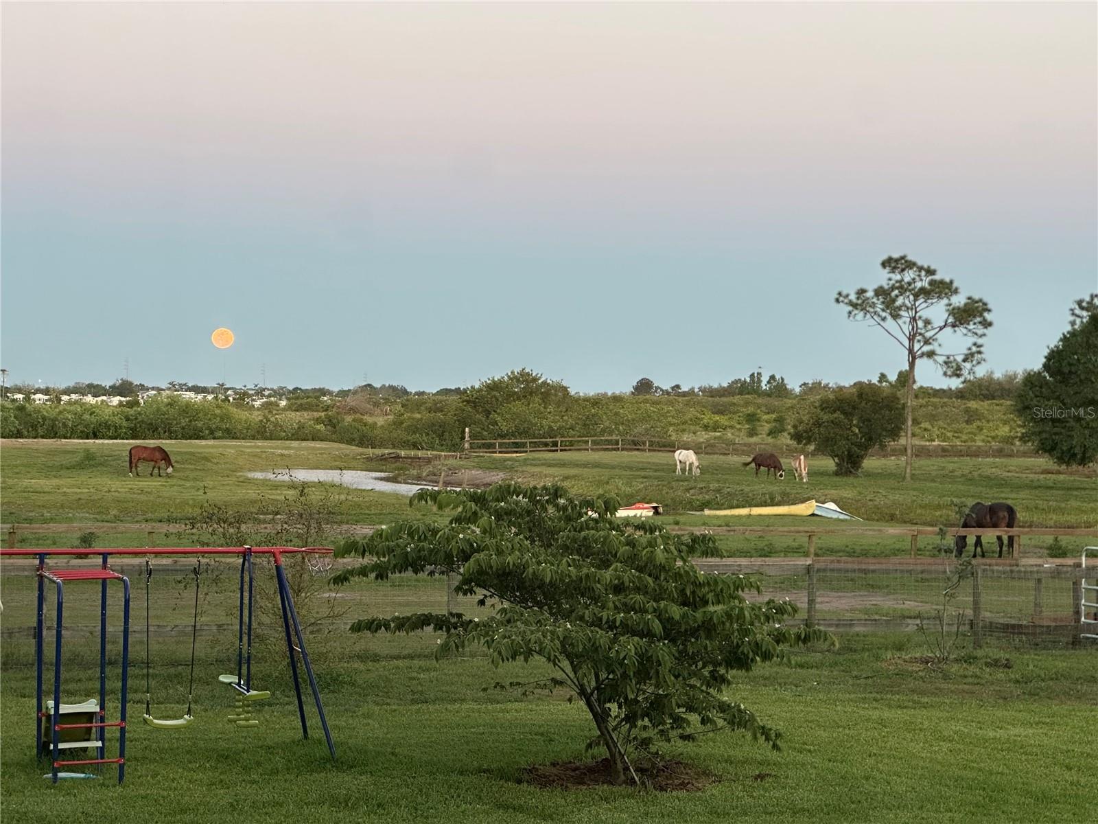 3046 N BOWDEN RD, AVON PARK, FL, 33825