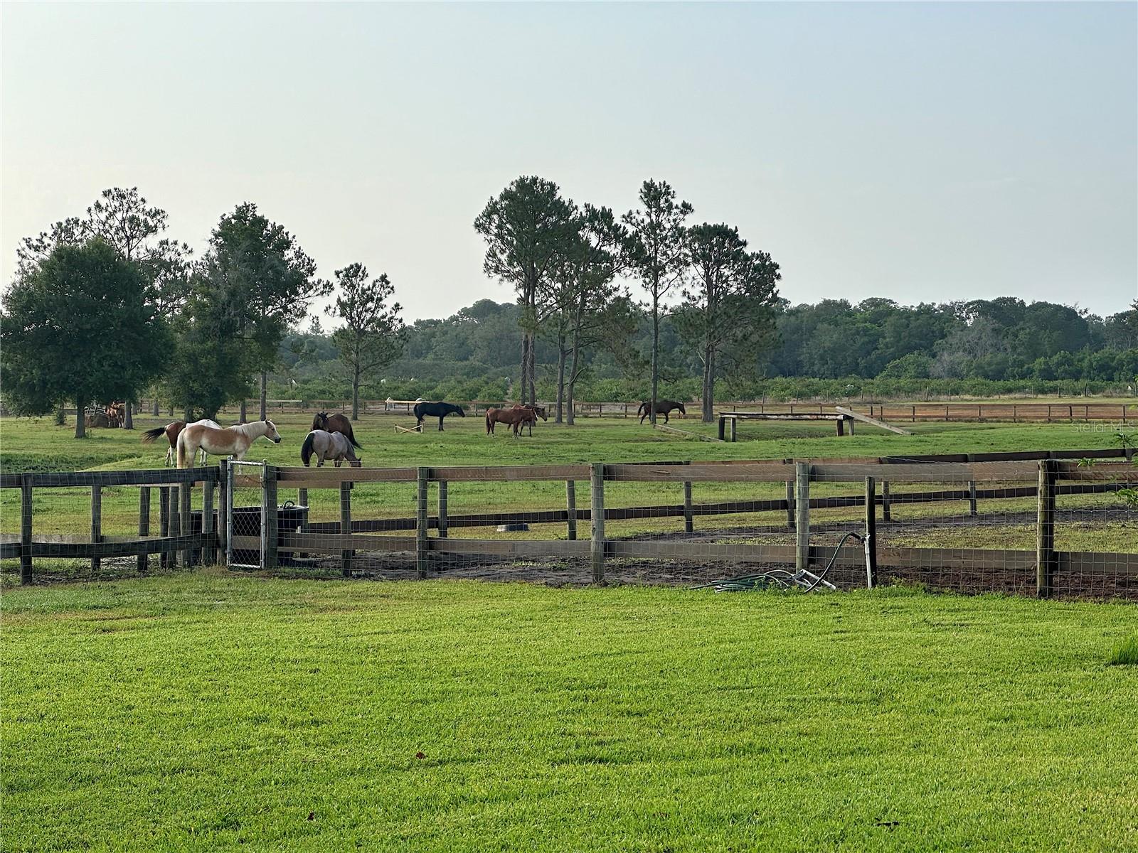 3046 N BOWDEN RD, AVON PARK, FL, 33825