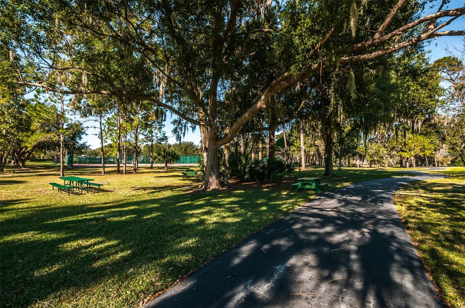 760 VILLAGE WAY, PALM HARBOR, FL, 34683