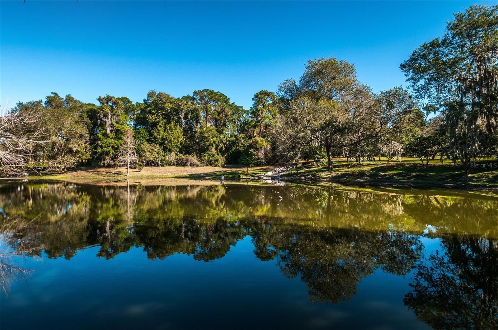 760 VILLAGE WAY, PALM HARBOR, FL, 34683