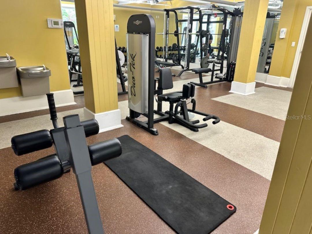 911 N ORANGE AVE #520, ORLANDO, FL, 32801