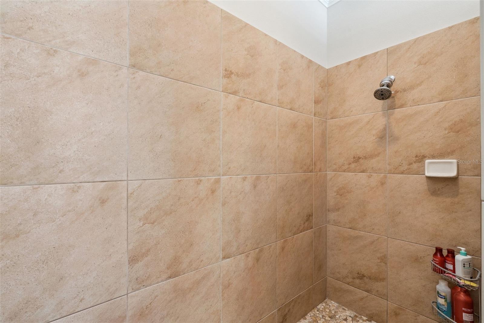 12529 DALLINGTON TER, WINTER GARDEN, FL, 34787