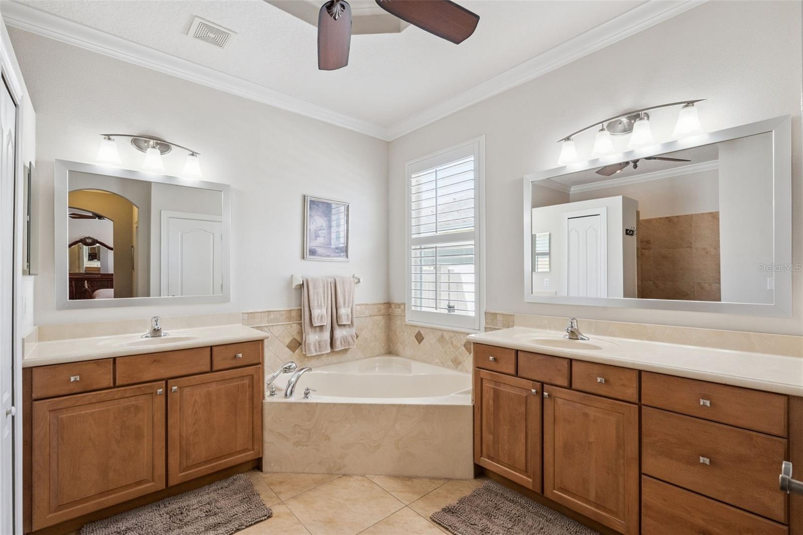 12529 DALLINGTON TER, WINTER GARDEN, FL, 34787