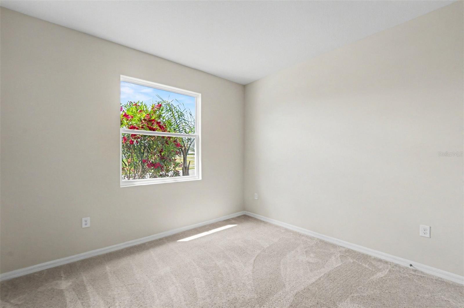 32003 CONCHSHELL SAIL ST, WESLEY CHAPEL, FL, 33545