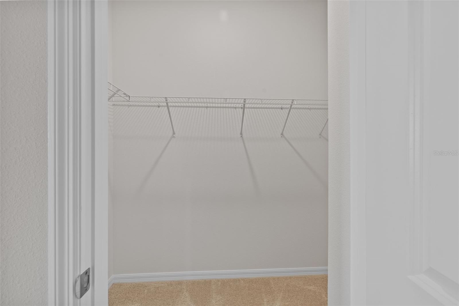 32003 CONCHSHELL SAIL ST, WESLEY CHAPEL, FL, 33545