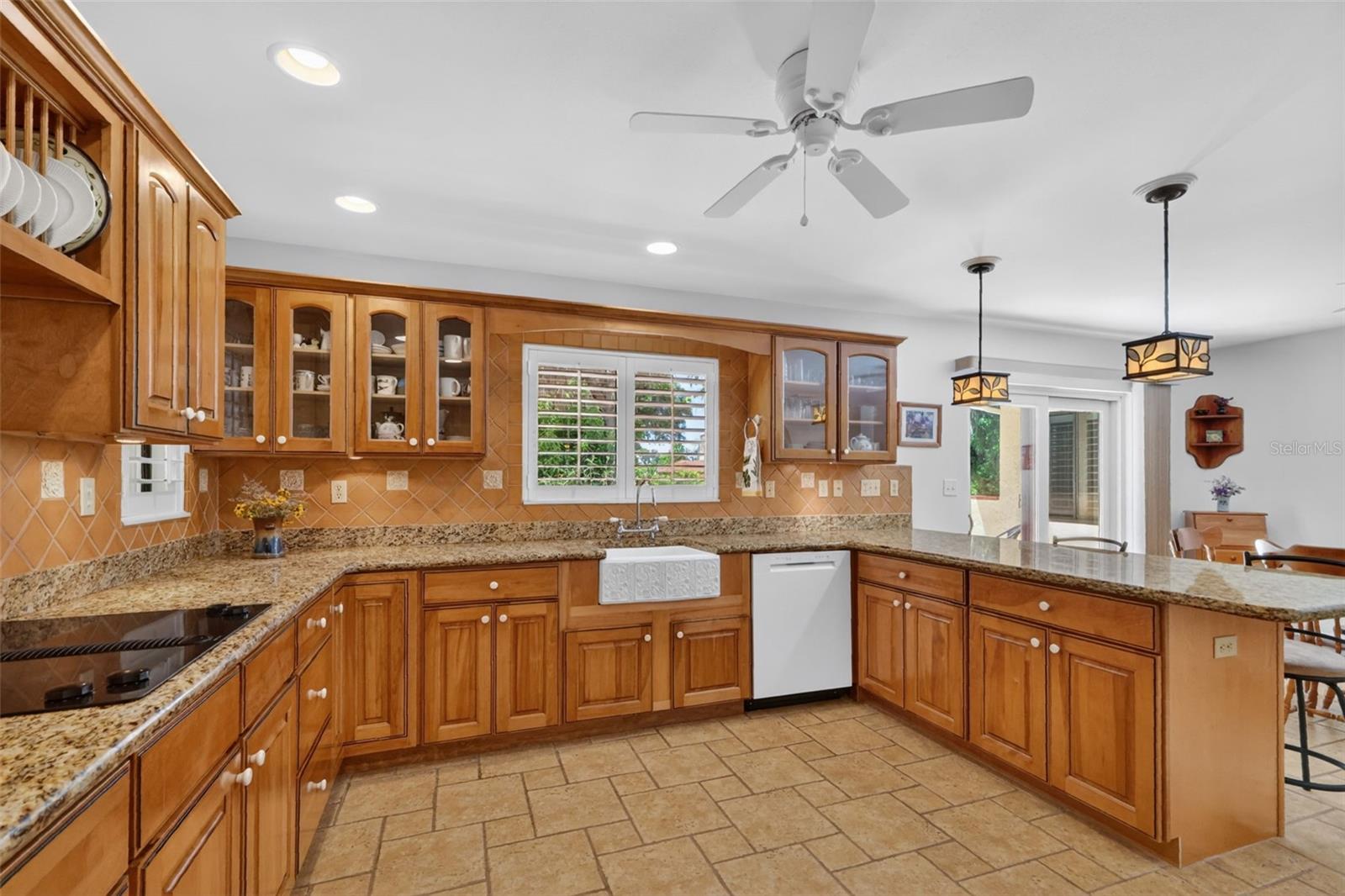 1109 ELYSIUM BLVD, MOUNT DORA, FL, 32757