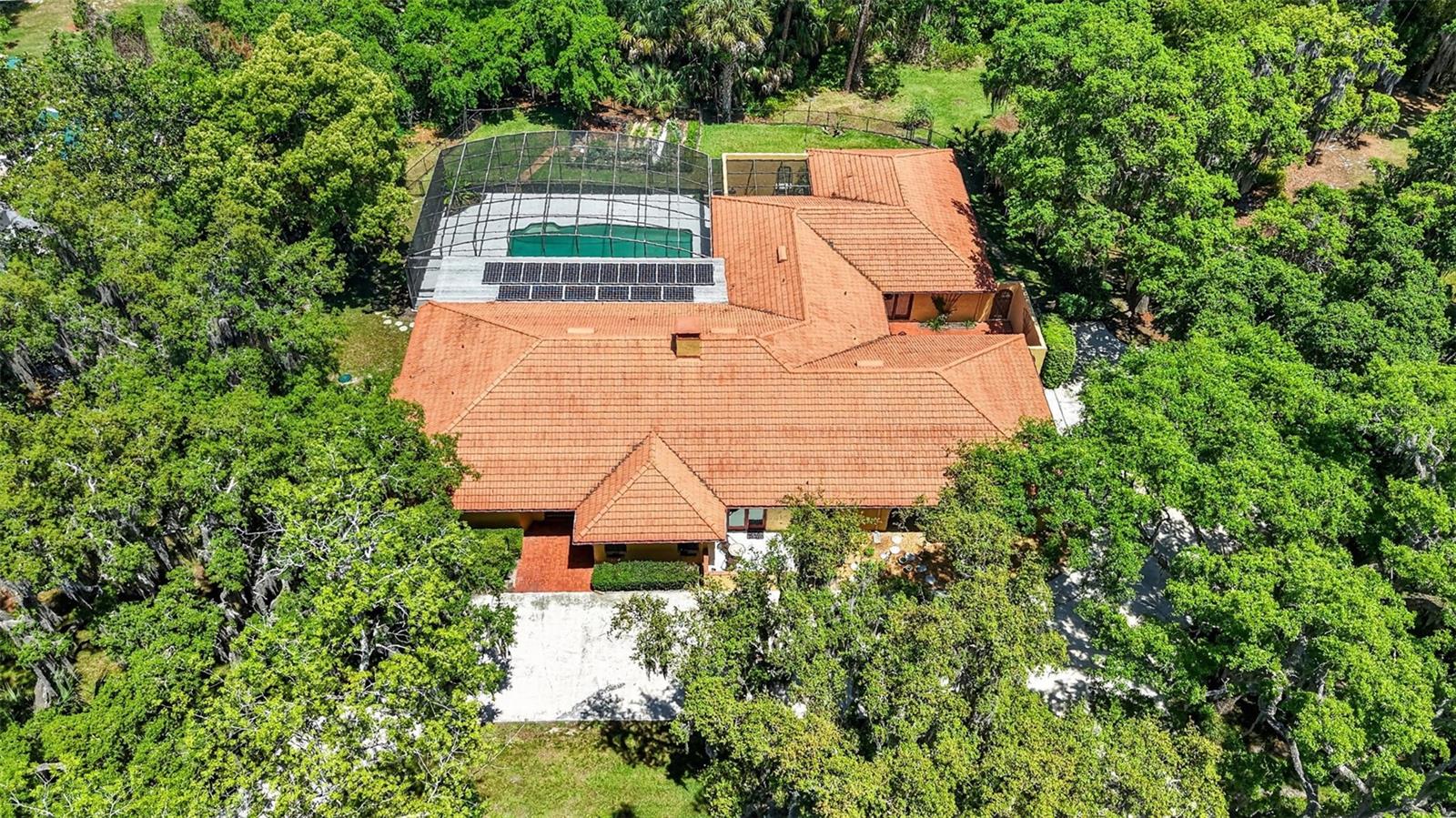 1109 ELYSIUM BLVD, MOUNT DORA, FL, 32757