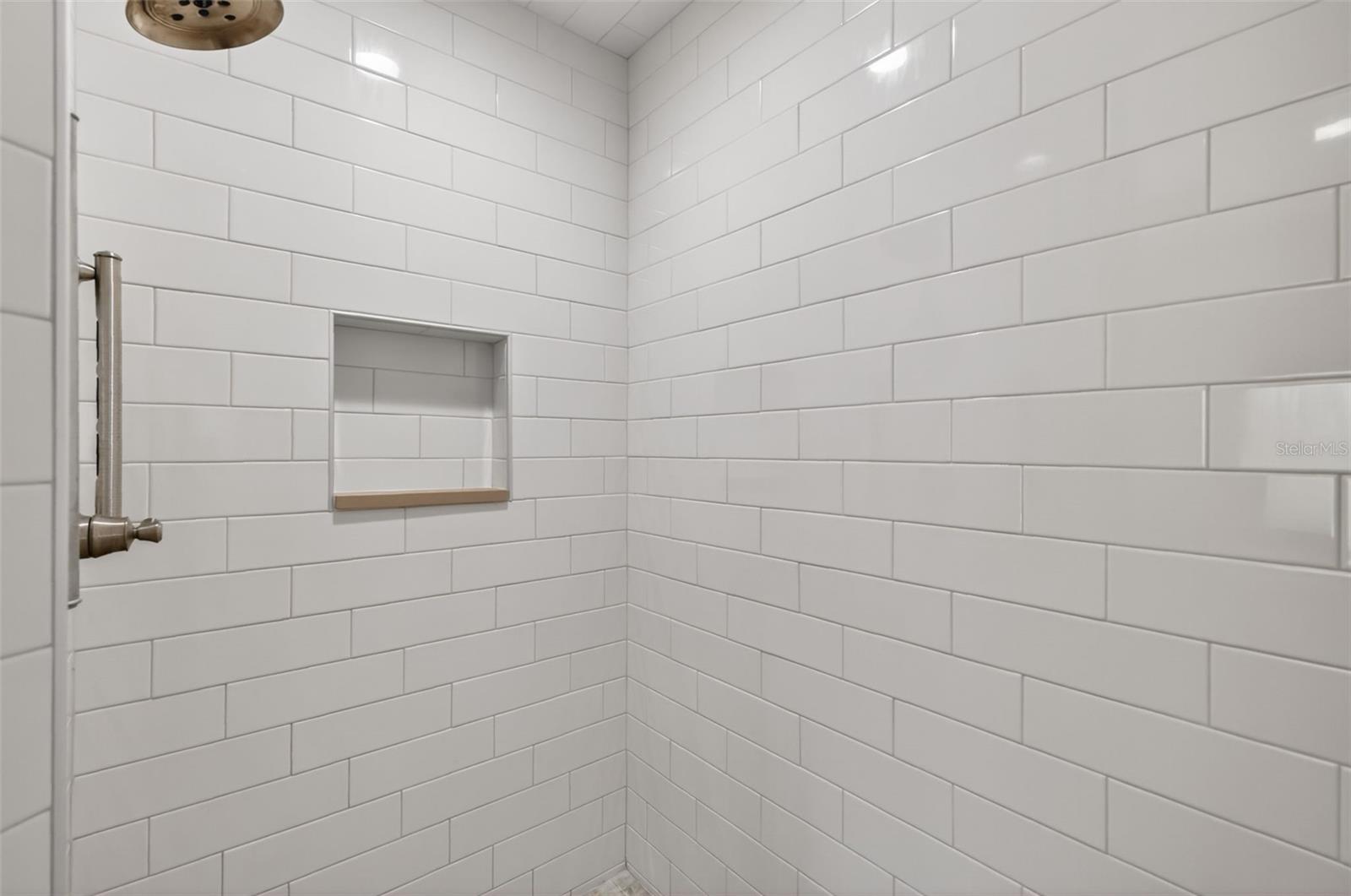 1109 ELYSIUM BLVD, MOUNT DORA, FL, 32757