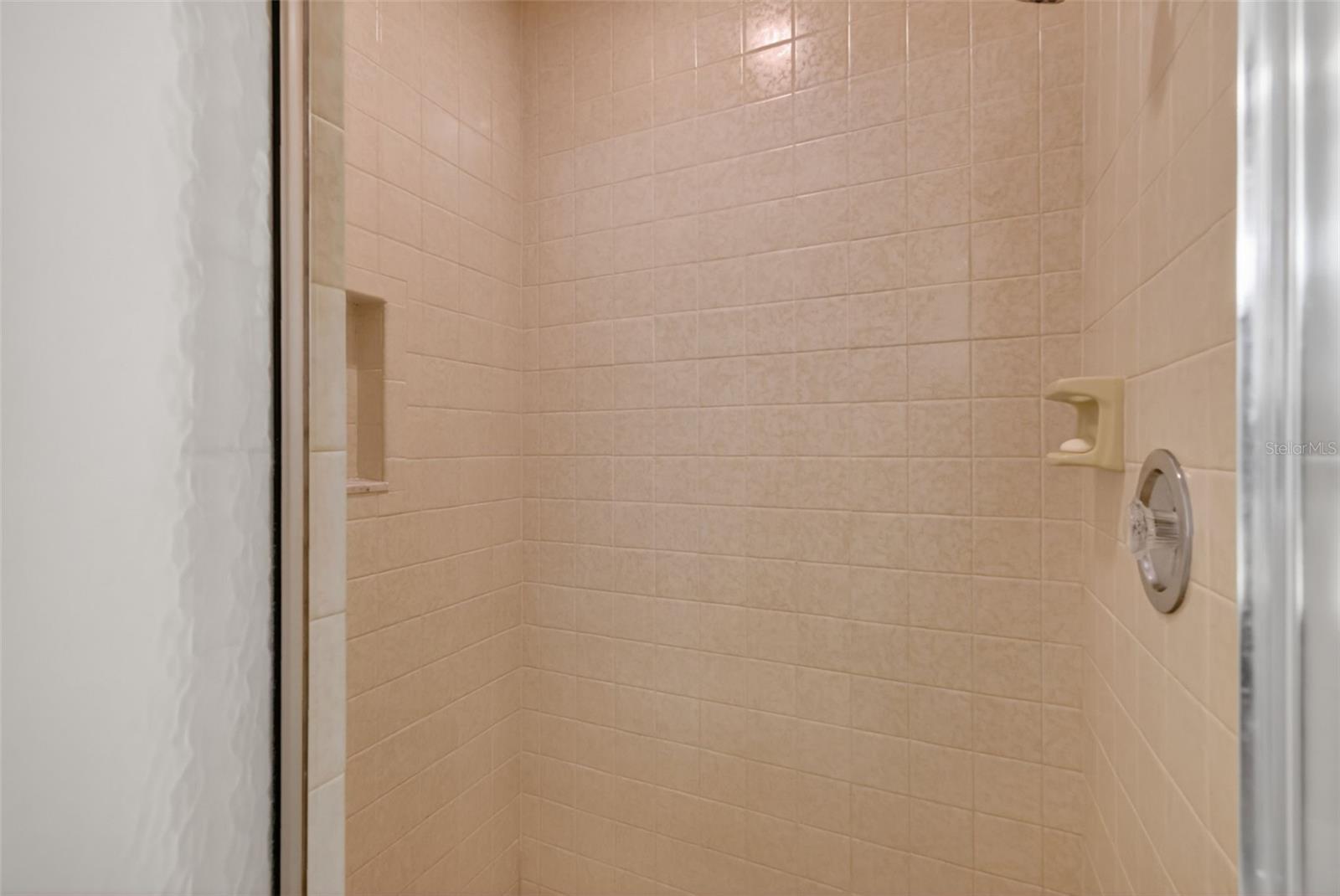 1109 ELYSIUM BLVD, MOUNT DORA, FL, 32757