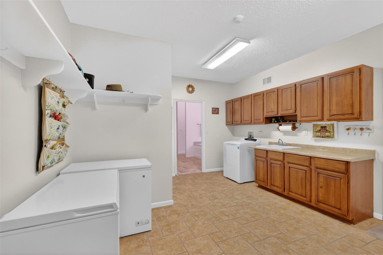 1109 ELYSIUM BLVD, MOUNT DORA, FL, 32757