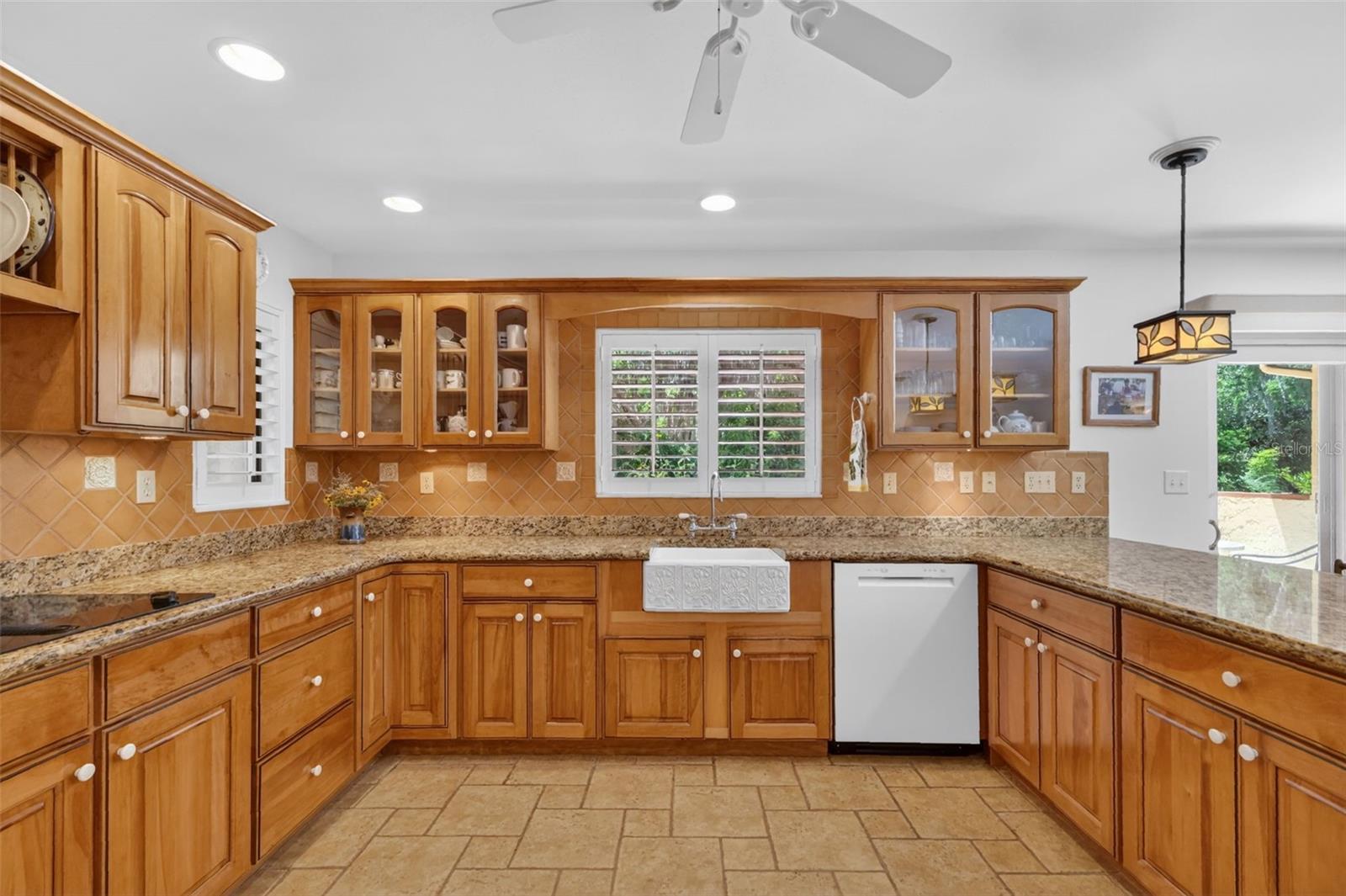 1109 ELYSIUM BLVD, MOUNT DORA, FL, 32757