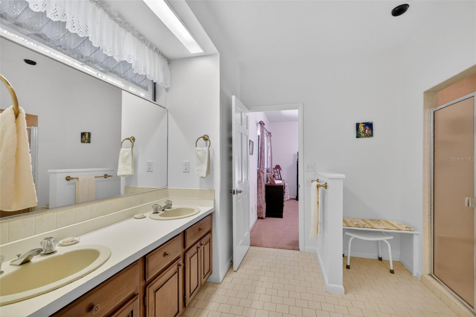 1109 ELYSIUM BLVD, MOUNT DORA, FL, 32757